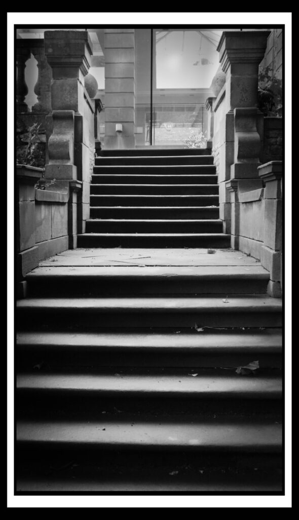 Group Photography Diane - Steps - 2024