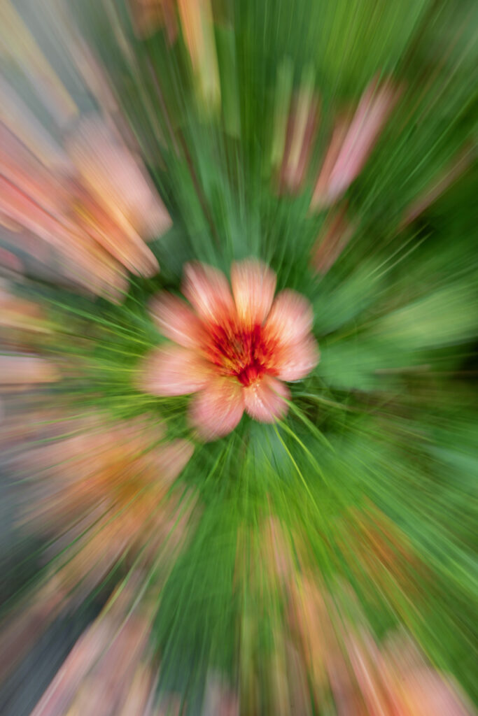 Group Photography Peter - Blur Nov 2024