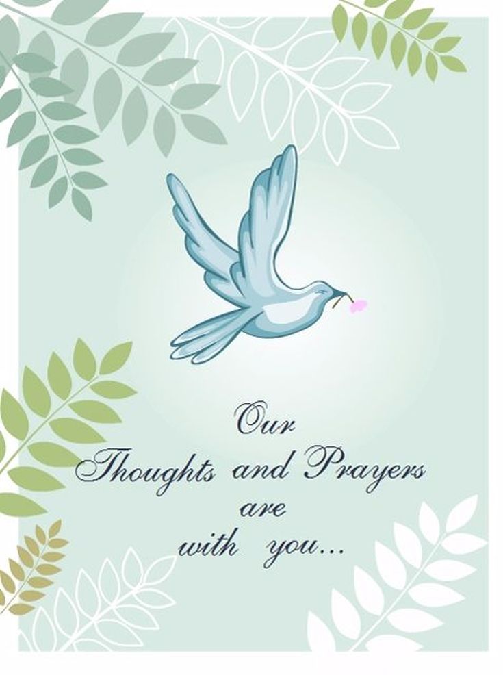 in sympathy card